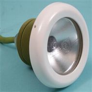 Featured image for “MTS SPA lamp 50W - 12V met witte sierflens (2" draad)”