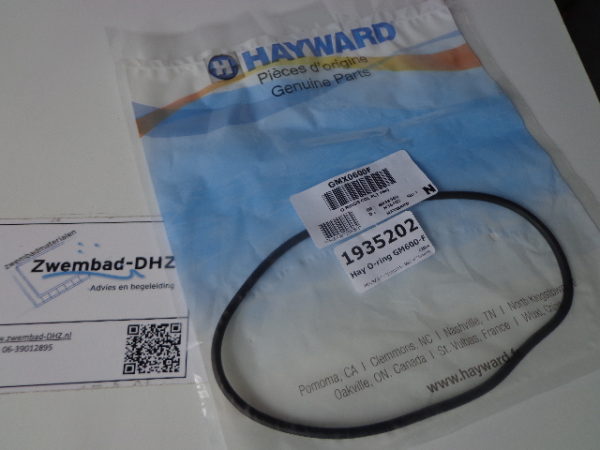 O-ring voor Hayward zandfilter (GM600-F)-0